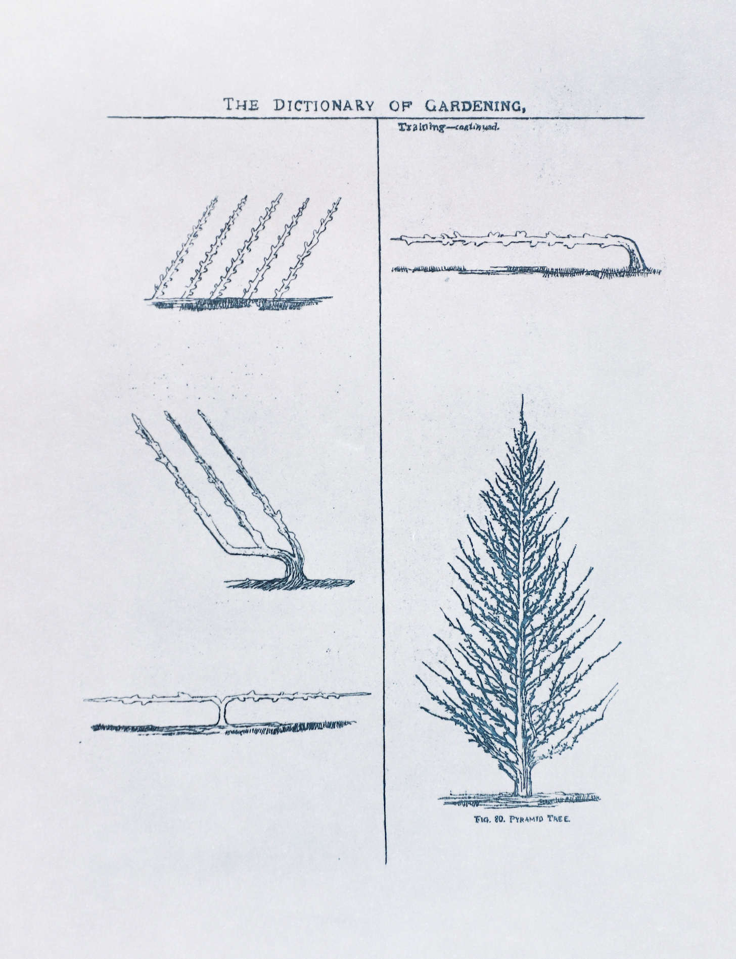 Sarasija subramanian, reliable copy, Etching prints