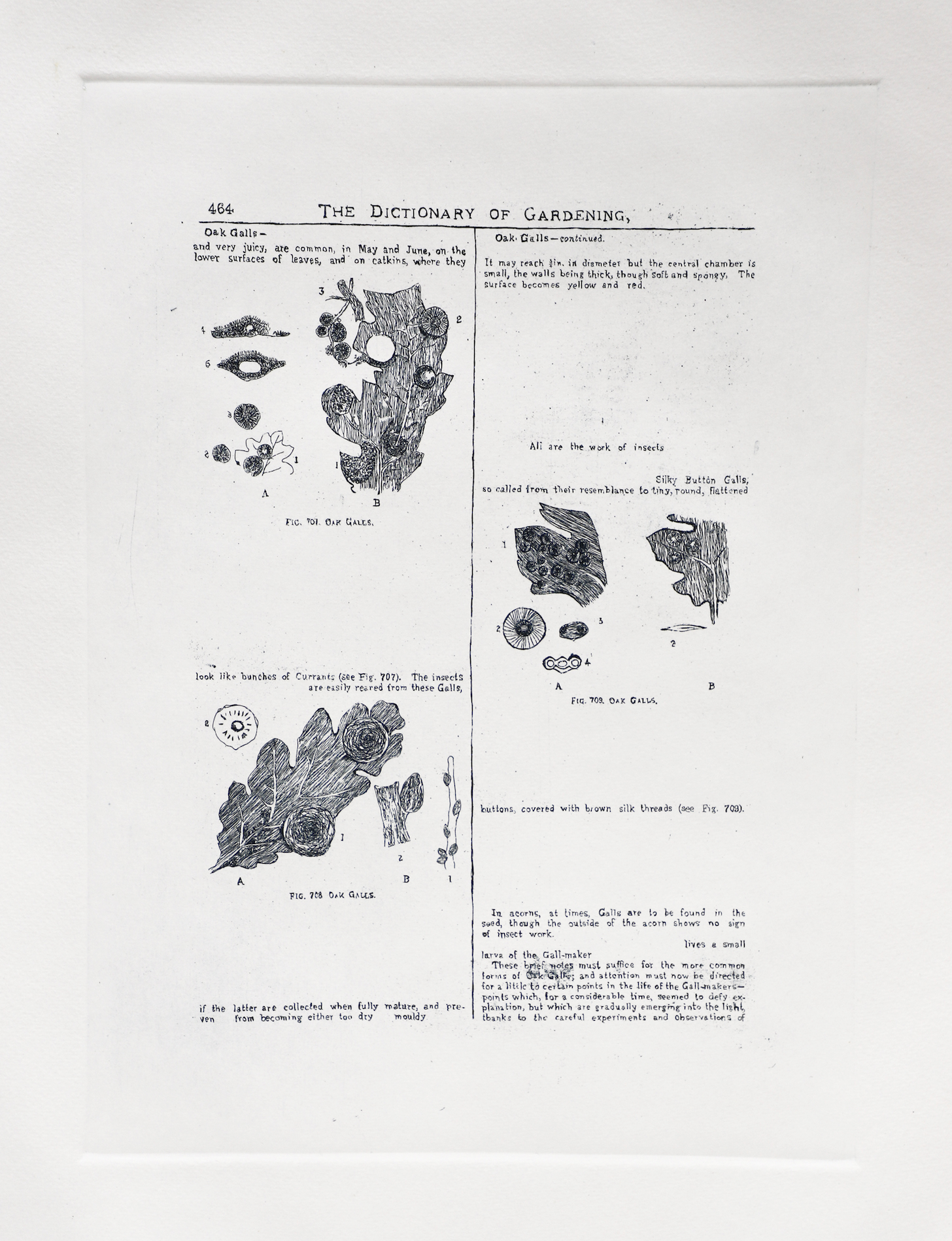 Sarasija subramanian, reliable copy, Etching prints