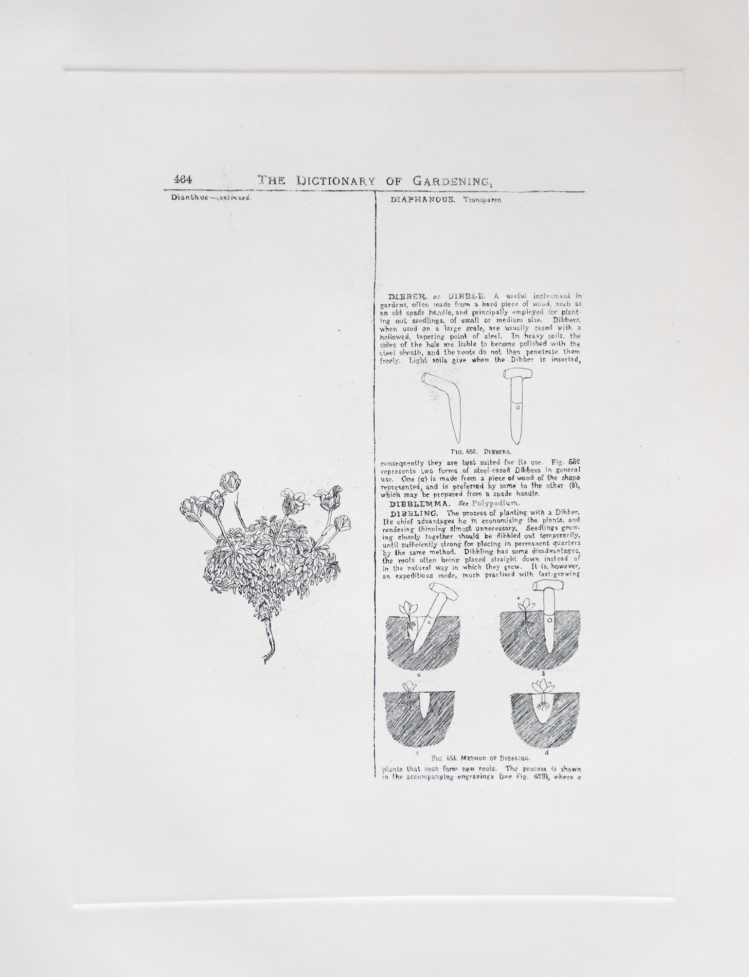 Sarasija subramanian, reliable copy, Etching prints