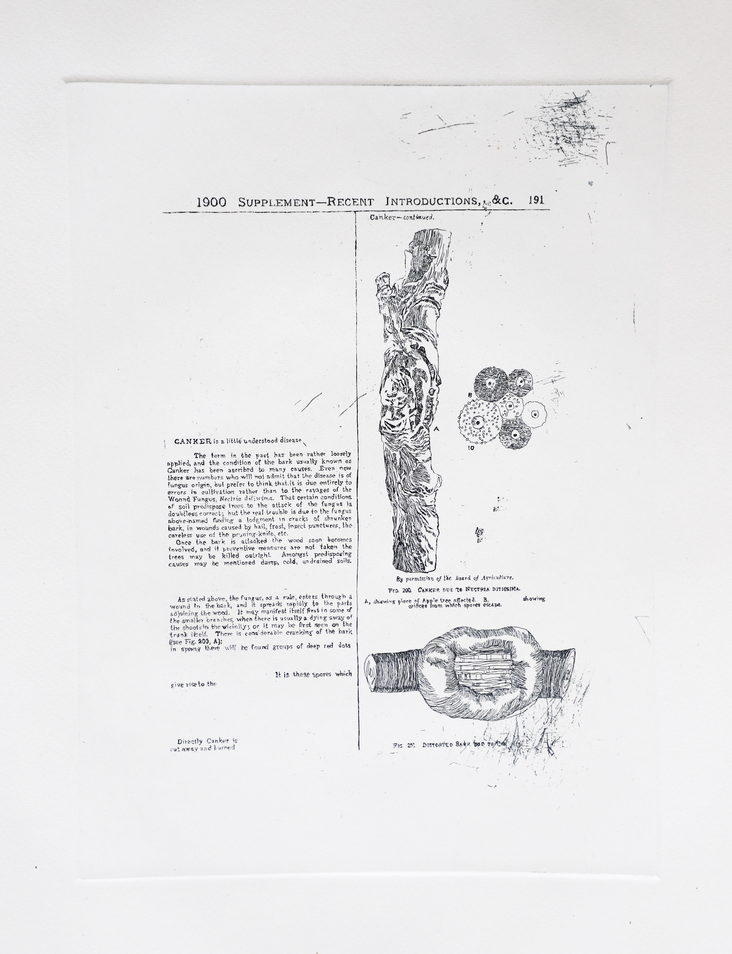 Sarasija subramanian, reliable copy, Etching prints