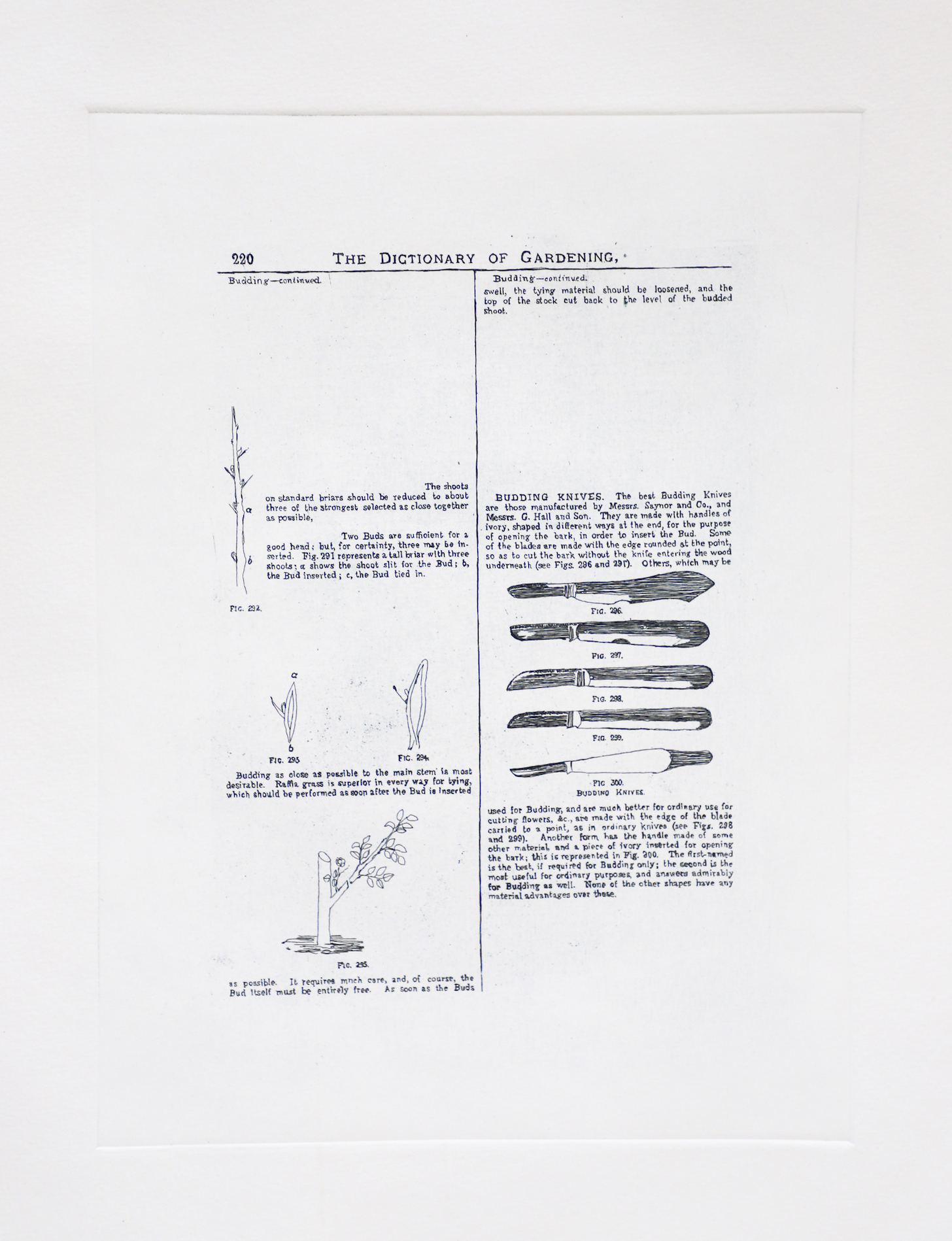 Sarasija subramanian, reliable copy, Etching prints
