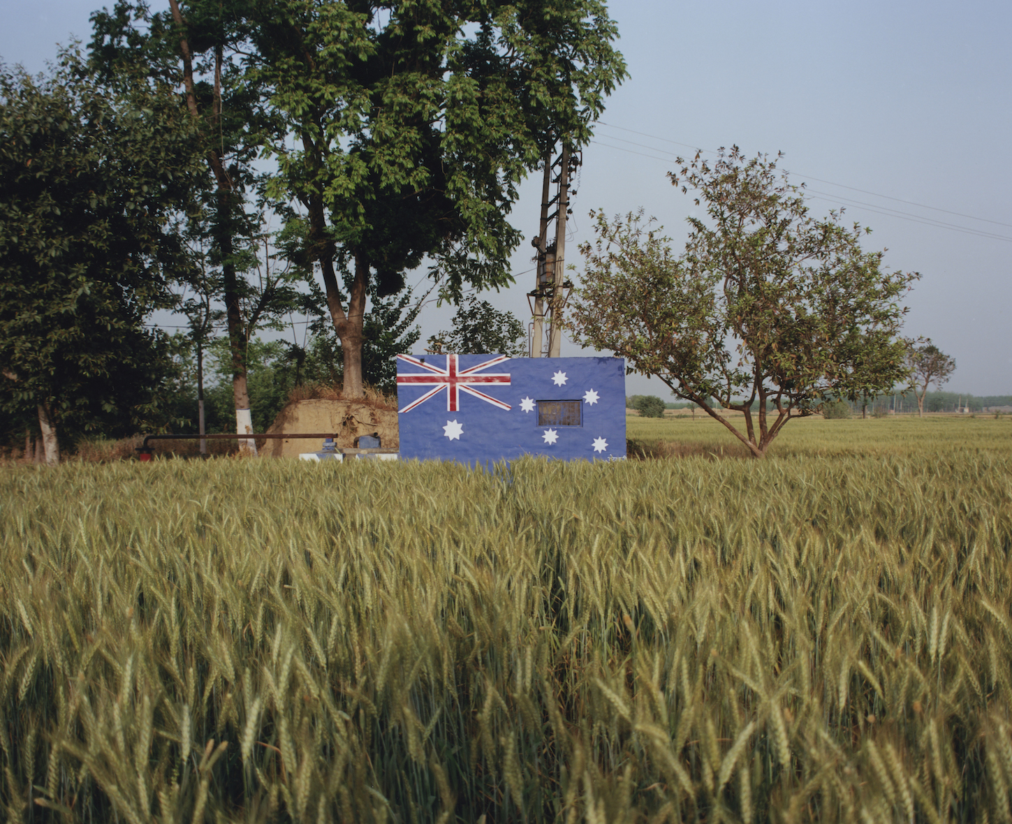 Shashank Peshawaria, Photography, flags, Punjab fields