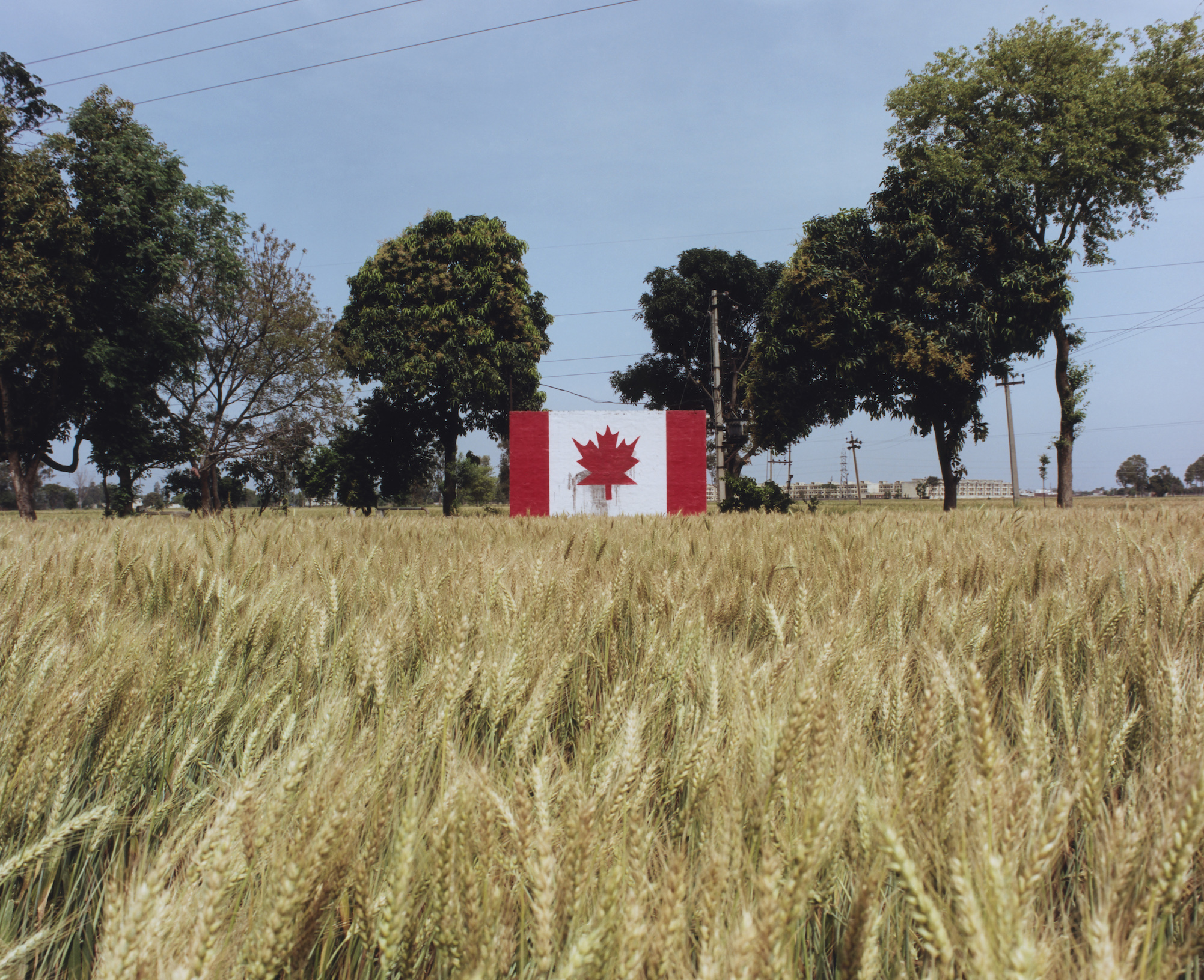 Shashank Peshawaria, Photography, flags, Punjab fields