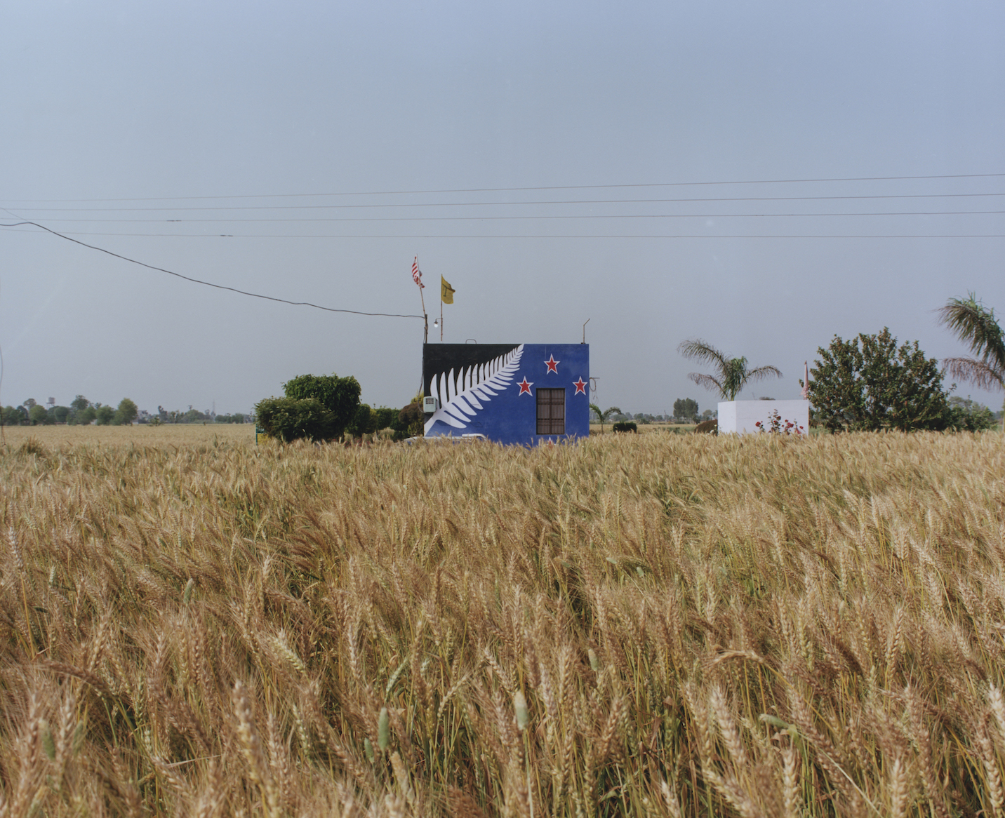 Shashank Peshawaria, Photography, flags, Punjab fields