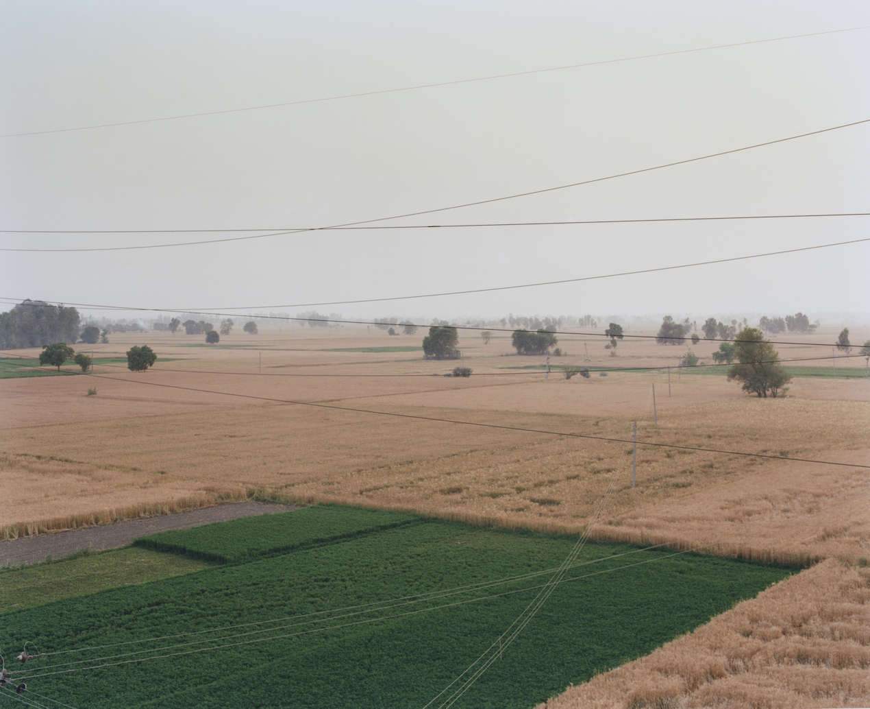 Shashank Peshawaria, Photography, flags, Punjab fields